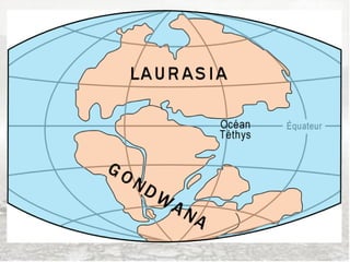 Mesozoica (vida intermediária)
• Há aproximadamente 130 milhões de anos;
• Tempo do desenvolvimento de mamíferos, aves e
  répteis gigantescos, como os dinossauros;
• A Pangeia se separa em duas massas continentais
  (Gondwana e Laurásia);
• Formação das bacias sedimentares e do petróleo.
 
