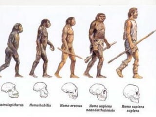 Cenozoica (vida recente)
• Desaparecimento dos dinossauros;
• Desenvolvimento dos primatas (mamíferos
  capazes de agarras as coisas com as mãos –
  macacos e seres humanos);
• Os continentes assumem o contorno atual;
• Ocorre a formação de grandes cadeias
  montanhosas, como os Andes (América do Sul), o
  Himalaia (Ásia) e as Rochosas (América do Norte);
• Acontecem as glaciações com alterações
  climáticas e o aparecimento do Homo sapiens
  sapiens.
 