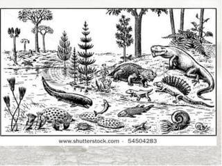 Paleozoica (vida antiga)
• Aproximadamente 300 milhões de anos;
• Grande desenvolvimento de formas de vida
  vegetal e animal na água e em terra, como peixes,
  répteis, insetos, anfíbios, entre outros;
• Pangeia  única massa continental.
 
