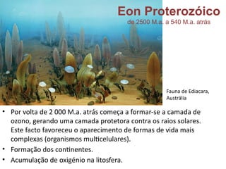 Eon Proterozóico
de 2500 M.a. a 540 M.a. atrás
• Por volta de 2 000 M.a. atrás começa a formar-se a camada de
ozono, gerando uma camada protetora contra os raios solares.
Este facto favoreceu o aparecimento de formas de vida mais
complexas (organismos multicelulares).
• Formação dos continentes.
• Acumulação de oxigénio na litosfera.
Fauna de Ediacara,
Austrália
 