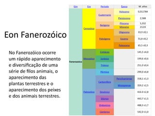 Eon Fanerozóico
Eón Era Período Época M. años
Fanerozoico
Cenozóico
Cuaternario
Holoceno 0,011784
Pleistoceno 2,588
Neógeno
Plioceno 5,332
Mioceno 23,03
Paleógeno
Oligoceno 33,9 ±0,1
Eoceno 55,8 ±0,2
Paleoceno 65,5 ±0,3
Mesozóico
Cretáceo 145,5 ±4,0
Jurásico 199,6 ±0,6
Triásico 251,0 ±0,4
Paleozóico
Pérmico 299,0 ±0,8
Carbonífero
Pensilvaniense 318,1 ±1,3
Misisipiense 359,2 ±2,5
Devónico 416.0 ±2,8
Silúrico 443,7 ±1,5
Ordovícico 488,3 ±1,7
Cámbrico 542,0 ±1,0
No Fanerozóico ocorre
um rápido aparecimento
e diversificação de uma
série de filos animais, o
aparecimento das
plantas terrestres e o
aparecimento dos peixes
e dos animais terrestres.
 