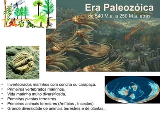 Era Paleozóica
de 540 M.a. a 250 M.a. atrás
• Invertebrados marinhos com concha ou carapaça.
• Primeiros vertebrados marinhos.
• Vida marinha muito diversificada.
• Primeiras plantas terrestres.
• Primeiros animais terrestres (Anfíbios , Insectos).
• Grande diversidade de animais terrestres e de plantas.
 