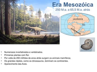 Era Mesozóica
250 M.a. a 65,5 M.a. atrás
• Numerosos invertebrados e vertebrados.
• Primeiras plantas com flor.
• Por volta de 200 milhões de anos atrás surgem os animais mamíferos;
• Os grandes répteis, como os dinossauros, dominam os continentes.
• Aparecimento das Aves.
 