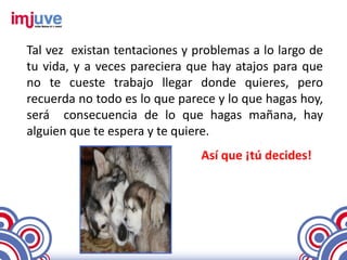 Tal vez existan tentaciones y problemas a lo largo de
tu vida, y a veces pareciera que hay atajos para que
no te cueste trabajo llegar donde quieres, pero
recuerda no todo es lo que parece y lo que hagas hoy,
será consecuencia de lo que hagas mañana, hay
alguien que te espera y te quiere.
                               Así que ¡tú decides!
 