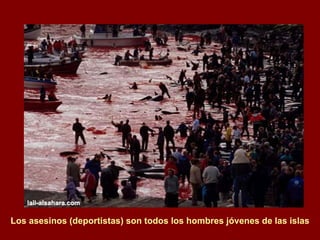 Los asesinos (deportistas) son todos los hombres jóvenes de las islas 