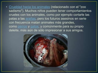 • Crueldad hacia los animales (relacionado con el "zoo
sadismo"). Muchos niños pueden tener comportamientos
crueles con los animales, como por ejemplo cortarle las
patas a las arañas, pero los futuros asesinos en serie
con frecuencia matan animales más grandes,
como perros y gatos, y comúnmente para su propio
deleite, más aún de sólo impresionar a sus amigos.

 