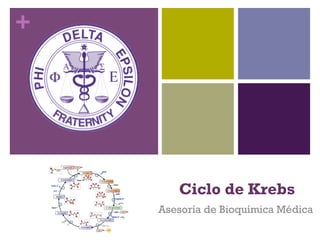 +




       Ciclo de Krebs
    Asesoría de Bioquímica Médica
 