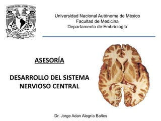 Universidad Nacional Autónoma de México
Facultad de Medicina
Departamento de Embriología
Dr. Jorge Adan Alegría Baños
ASESORÍA
DESARROLLO DEL SISTEMA
NERVIOSO CENTRAL
 