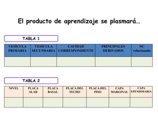 VESÍCULA
PRIMARIA
VESÍCULA
SECUNDARIA
CAVIDAD
CORRESPONDIENTE
PRINCIPALES
DERIVADOS
NC
relacionado
TABLA 1
TABLA 2
NIVEL PLACA
ALAR
PLACA
BASAL
PLACA DEL
TECHO
PLACA DEL
PISO
CAPA
MARGINAL
CAPA
EPENDIMARIA
El producto de aprendizaje se plasmará…
 