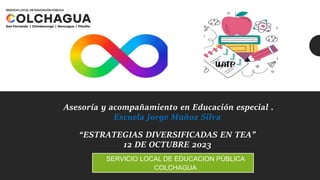 Asesoría y acompañamiento en Educación especial .
Escuela Jorge Muñoz Silva
“ESTRATEGIAS DIVERSIFICADAS EN TEA”
12 DE OCTUBRE 2023
SERVICIO LOCAL DE EDUCACION PÚBLICA
COLCHAGUA
 