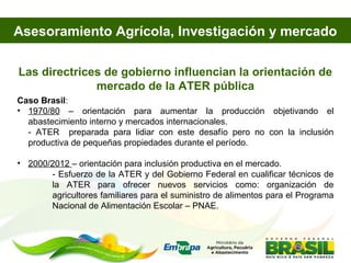 Asesoramiento agrícola orientado al mercado lucio brunale embrapa