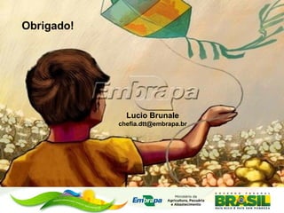 Asesoramiento agrícola orientado al mercado lucio brunale embrapa