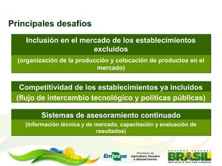 Asesoramiento agrícola orientado al mercado lucio brunale embrapa