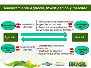Asesoramiento agrícola orientado al mercado lucio brunale embrapa