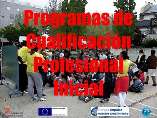 Programas de Cualificación Profesional Inicial 