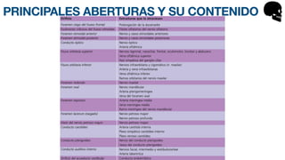 PRINCIPALES ABERTURAS Y SU CONTENIDO
 