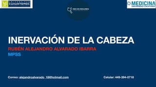 Correo: alejandroalvarado_18@hotmail.com Celular: 449-394-0718
INERVACIÓN DE LA CABEZA
RUBÉN ALEJANDRO ALVARADO IBARRA
MPSS
 