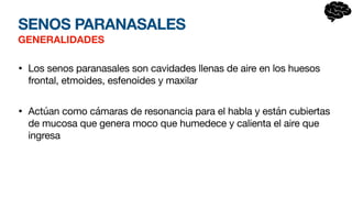 SENOS PARANASALES
GENERALIDADES
• Los senos paranasales son cavidades llenas de aire en los huesos
frontal, etmoides, esfenoides y maxilar
• Actúan como cámaras de resonancia para el habla y están cubiertas
de mucosa que genera moco que humedece y calienta el aire que
ingresa
 