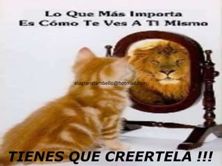 TIENES QUE
CREERTELA!!!
TIENES QUE CREERTELA !!!
elagraristambello@hotmail.com
 