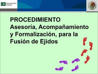 Fomento a la Inversión
Pública y Privada en la
Propiedad Rural
FIPP
PROCEDIMIENTO
Asesoría, Acompañamiento
y Formalización, para la
Fusión de Ejidos
 