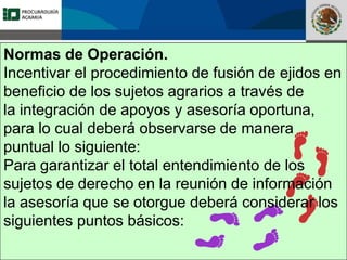 Fomento a la Inversión
Pública y Privada en la
Propiedad Rural
FIPP
Normas de Operación.
Incentivar el procedimiento de fusión de ejidos en
beneficio de los sujetos agrarios a través de
la integración de apoyos y asesoría oportuna,
para lo cual deberá observarse de manera
puntual lo siguiente:
Para garantizar el total entendimiento de los
sujetos de derecho en la reunión de información
la asesoría que se otorgue deberá considerar los
siguientes puntos básicos:
 