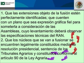 Fomento a la Inversión
Pública y Privada en la
Propiedad Rural
FIPP
1. Que las extensiones objeto de la fusión estén
perfectamente identificadas; que cuenten
con un plano que sea expresión gráfica fiel para
someterla a consideración de las
Asambleas, cuyo levantamiento deberá observar
las especificaciones técnicas del RAN.
2. Que los núcleos que se van a fusionar se
encuentren legalmente constituidos mediante
resolución presidencial, sentencia de los
Tribunales Agrarios y constituidos conforme al
artículo 90 de la Ley Agraria.
 