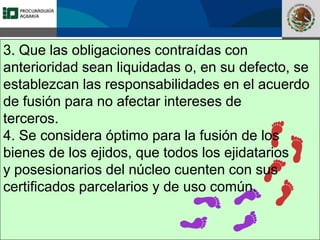 Fomento a la Inversión
Pública y Privada en la
Propiedad Rural
FIPP
3. Que las obligaciones contraídas con
anterioridad sean liquidadas o, en su defecto, se
establezcan las responsabilidades en el acuerdo
de fusión para no afectar intereses de
terceros.
4. Se considera óptimo para la fusión de los
bienes de los ejidos, que todos los ejidatarios
y posesionarios del núcleo cuenten con sus
certificados parcelarios y de uso común.
 