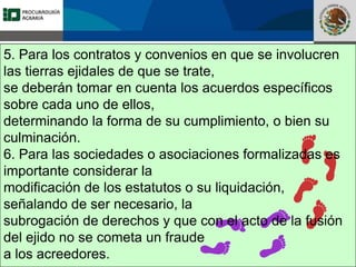 Fomento a la Inversión
Pública y Privada en la
Propiedad Rural
FIPP
5. Para los contratos y convenios en que se involucren
las tierras ejidales de que se trate,
se deberán tomar en cuenta los acuerdos específicos
sobre cada uno de ellos,
determinando la forma de su cumplimiento, o bien su
culminación.
6. Para las sociedades o asociaciones formalizadas es
importante considerar la
modificación de los estatutos o su liquidación,
señalando de ser necesario, la
subrogación de derechos y que con el acto de la fusión
del ejido no se cometa un fraude
a los acreedores.
 