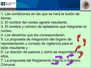 Fomento a la Inversión
Pública y Privada en la
Propiedad Rural
FIPP
1. Las condiciones en las que se hará la fusión de
tierras,
2. El nombre del núcleo agrario resultante,
3. El nombre y número de ejidatarios que integrarán el
núcleo,
4. Los derechos que les corresponderán,
5. La propuesta de integración del órgano de
representación y consejo de vigilancia para el
ejido resultante y
6. La relación de pasivos y cómo se responderá de
ellos.
7. La propuesta del Reglamento Interno o Estatuto
Comunal
 