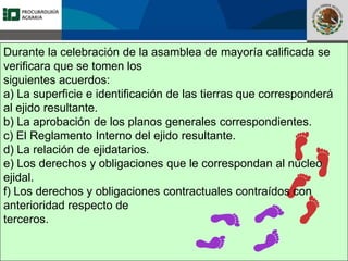 Fomento a la Inversión
Pública y Privada en la
Propiedad Rural
FIPP
Durante la celebración de la asamblea de mayoría calificada se
verificara que se tomen los
siguientes acuerdos:
a) La superficie e identificación de las tierras que corresponderá
al ejido resultante.
b) La aprobación de los planos generales correspondientes.
c) El Reglamento Interno del ejido resultante.
d) La relación de ejidatarios.
e) Los derechos y obligaciones que le correspondan al núcleo
ejidal.
f) Los derechos y obligaciones contractuales contraídos con
anterioridad respecto de
terceros.
 