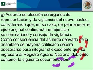 Fomento a la Inversión
Pública y Privada en la
Propiedad Rural
FIPP
g) Acuerdo de elección de órganos de
representación y de vigilancia del nuevo núcleo,
considerando que, en su caso, de permanecer el
ejido original continuarán en ejercicio
su comisariado y consejo de vigilancia.
Como consecuencia del acuerdo derivado de la
asamblea de mayoría calificada deberá
asesorarse para integrar el expediente que se
ingresará al Registro Agrario Nacional debiendo
contener la siguiente documentación:
 
