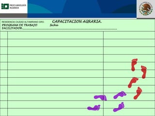 Fomento a la Inversión
Pública y Privada en la
Propiedad Rural
FIPP
RESIDENCIA CIUDAD ALTAMIRANO GRO. CAPACITACION AGRARIA.
PROGRAMA DE TRABAJO fecha
FACILITADOR._________________________________________________________________________
 