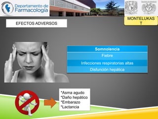 MONTELUKAS
TEFECTOS ADVERSOS
Somnolencia
Fiebre
Infecciones respiratorias altas
Disfunción hepática
*Asma agudo
*Daño hepático
*Embarazo
*Lactancia
 