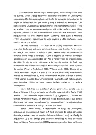 14
A nomenclatura desses fungos sempre gerou muitas divergências entre
os autores. Möller (1893) descreveu basidiomas de ninhos de Acromyrmex
como sendo Rozites gongylophora. A indução da formação de basidiomas de
fungos de attines realizada por Weber (1957), e avaliada por Heim (1957), os
nomeou como Leucoagaricus gongylophorus. Da mesma forma, Singer (1986)
ao analisar todas as descrições realizadas até então confirmou essa última
hipótese, passando a ser a nomenclatura mais utilizada atualmente pelos
pesquisadores da área. Mesmo assim, Muchovej, Della Lucia e Muchovej
(1991) descreveram basidiomas de Atta sexdens e Atta cephalotes como
sendo Leucoaricus weberi.
Trabalhos realizados por Loeck et al. (2000) mostraram diferentes
respostas dos fungos cultivados por diferentes espécies de Atta e Acromyrmex,
em relação aos meios de cultivo e pH’s, evidenciando um processo co-
evolutivo entre fungo e formigas. Com o objetivo de verificar diferenças
genotípicas em fungos cultivados por Atta e Acromyrmex, na impossibilidade
da obtenção de esporos, utilizou-se a técnica de análise do DNA com
marcadores moleculares utilizada para diferenciar genótipos de várias espécies
de plantas (Welsh e McClelland, 1990; Williams et al., 1990; Oliveira et al.,
1996), assim como Meyer et al. (1991), que caracterizaram fungos filamentosos
através de microsatélites e, mais recentemente, Mueller, Rehner & Schultz
(1998) usaram técnicas de AFLP’s (Amplified Fragment Length Polymosphism)
para investigar diferenças entre fungos também cultivados por Atta e
Acromyrmex.
Vários trabalhos com extratos de plantas para verificar o efeito sobre o
desenvolvimento do fungo simbionte também têm sido realizados. Borba (2005)
avaliou o crescimento do fungo simbionte L. gongylophorus, cultivado pela
formiga Acromyrmex heyeri, em diferentes meios de cultura, sendo que o maior
diâmetro e peso seco foram observados quando cultivado no meio de cultura
contendo farelos de arroz e de trigo na sua composição.
Borba (2006) induziu o crescimento do fungo de Acromyrmex
ambiguus, A. crassispinus, A. heyeri e A. lundi em meios de cultura acrescidos
de melaço e de extratos de azevém (Lolium multiflorum Lam.), de tifa (Typha
angustifolia L.) e de formiga (Atta sexdens piriventris). O meio de cultura
desenvolvido por Pagnocca et al. (1990) proporcionou melhor desenvolvimento
 