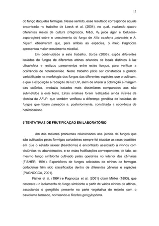 15
do fungo daquelas formigas. Nesse sentido, esse resultado corresponde aquele
encontrado no trabalho de Loeck et al. (2004), no qual, avaliando quatro
diferentes meios de cultura (Pagnocca, M&S, V8 juice ágar e Celulose-
asparagine) sobre o crescimento do fungo de Atta sexdens piriventris e A.
heyeri, observaram que, para ambas as espécies, o meio Pagnocca
apresentou maior crescimento micelial.
Em continuidade a este trabalho, Borba (2006), expôs diferentes
isolados de fungos de diferentes attines oriundos de locais distintos à luz
ultravioleta e realizou pareamentos entre estes fungos, para verificar a
ocorrência de heterocariose. Neste trabalho pôde ser constatada a grande
variabilidade na morfologia dos fungos das diferentes espécies que o cultivam,
e que a exposição à radiação de luz UV, além de alterar a coloração e margem
das colônias, produziu isolados mais dissimilares comparados aos não
submetidos a este teste. Estas análises foram realizadas ainda através da
técnica de AFLP, que também verificou a diferença genética de isolados de
fungos que foram pareados e, posteriormente, constatada a ocorrência de
heterocariose.
5 TENTATIVAS DE FRUTIFICAÇÃO EM LABORATÓRIO
Um dos maiores problemas relacionados aos jardins de fungos que
são cultivados pelas formigas cortadeiras sempre foi elucidar as raras ocasiões
em que o estado sexual (basidioma) é encontrado associado a ninhos com
distúrbios ou abandonados, e se estas frutificações correspondem, de fato, ao
mesmo fungo simbionte cultivado pelas operárias no interior das câmaras
(FISHER, 1994). Esporóforos de fungos coletados de ninhos de formigas
cortadeiras têm sido classificados dentro de diferentes gêneros e espécies
(PAGNOCCA, 2001).
Fisher et al. (1994) e Pagnocca et al. (2001) citam Möller (1893), que
descreveu o isolamento do fungo simbionte a partir de vários ninhos de attines,
associando o gongilídio presente na parte vegetativa do micélio com o
basidioma formado, nomeando-o Rozites gongylophora.
 