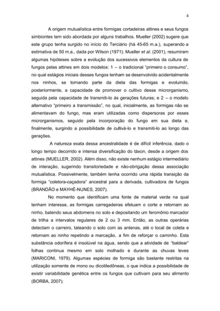 4
A origem mutualística entre formigas cortadeiras attines e seus fungos
simbiontes tem sido abordada por alguns trabalhos. Mueller (2002) sugere que
este grupo tenha surgido no início do Terciário (há 45-65 m.a.), superando a
estimativa de 50 m.a., dada por Wilson (1971). Mueller et al. (2001), resumiram
algumas hipóteses sobre a evolução dos sucessivos elementos da cultura de
fungos pelas attines em dois modelos: 1 – o tradicional “primeiro o consumo”,
no qual estágios iniciais desses fungos tenham se desenvolvido acidentalmente
nos ninhos, se tornando parte da dieta das formigas e evoluindo,
posteriormente, a capacidade de promover o cultivo desse microrganismo,
seguida pela capacidade de transmiti-lo às gerações futuras; e 2 – o modelo
alternativo “primeiro a transmissão”, no qual, inicialmente, as formigas não se
alimentavam do fungo, mas eram utilizadas como dispersoras por esses
microrganismos, seguido pela incorporação do fungo em sua dieta e,
finalmente, surgindo a possibilidade de cultivá-lo e transmiti-lo ao longo das
gerações.
A natureza exata dessa ancestralidade é de difícil inferência, dado o
longo tempo decorrido e intensa diversificação do táxon, desde a origem dos
attines (MUELLER, 2002). Além disso, não existe nenhum estágio intermediário
de interação, sugerindo transitoriedade e não-obrigação dessa associação
mutualística. Possivelmente, também tenha ocorrido uma rápida transição da
formiga “coletora-caçadora” ancestral para a derivada, cultivadora de fungos
(BRANDÃO e MAYHÉ-NUNES, 2007).
No momento que identificam uma fonte de material verde na qual
tenham interesse, as formigas carregadeiras efetuam o corte e retornam ao
ninho, batendo seus abdomens no solo e depositando um feromônio marcador
de trilha a intervalos regulares de 2 ou 3 mm. Então, as outras operárias
detectam o carreiro, tateando o solo com as antenas, até o local de coleta e
retornam ao ninho repetindo a marcação, a fim de reforçar o caminho. Esta
substância odorífera é insolúvel na água, sendo que a atividade de “baldear”
folhas continua mesmo em solo molhado e durante as chuvas leves
(MARICONI, 1979). Algumas espécies de formiga são bastante restritas na
utilização somente de mono ou dicotiledôneas, o que indica a possibilidade de
existir variabilidade genética entre os fungos que cultivam para seu alimento
(BORBA, 2007).
 