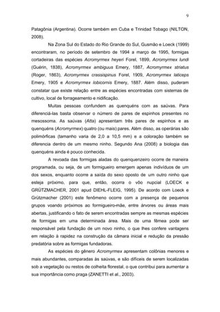 9
Patagônia (Argentina). Ocorre também em Cuba e Trinidad Tobago (NILTON,
2008).
Na Zona Sul do Estado do Rio Grande do Sul, Gusmão e Loeck (1999)
encontraram, no período de setembro de 1994 a março de 1995, formigas
cortadeiras das espécies Acromyrmex heyeri Forel, 1899, Acromyrmex lundi
(Guérin, 1838), Acromyrmex ambiguus Emery, 1887, Acromyrmex striatus
(Roger, 1863), Acromyrmex crassispinus Forel, 1909, Acromyrmex laticeps
Emery, 1905 e Acromyrmex lobicornis Emery, 1887. Além disso, puderam
constatar que existe relação entre as espécies encontradas com sistemas de
cultivo, local de forrageamento e nidificação.
Muitas pessoas confundem as quenquéns com as saúvas. Para
diferenciá-las basta observar o número de pares de espinhos presentes no
mesossoma. As saúvas (Atta) apresentam três pares de espinhos e as
quenquéns (Acromyrmex) quatro (ou mais) pares. Além disso, as operárias são
polimórficas (tamanho varia de 2,0 a 10,5 mm) e a coloração também se
diferencia dentro de um mesmo ninho. Segundo Ana (2008) a biologia das
quenquéns ainda é pouco conhecida.
A revoada das formigas aladas do quenquenzeiro ocorre de maneira
programada, ou seja, de um formigueiro emergem apenas indivíduos de um
dos sexos, enquanto ocorre a saída do sexo oposto de um outro ninho que
esteja próximo, para que, então, ocorra o vôo nupcial (LOECK e
GRÜTZMACHER, 2001 apud DIEHL-FLEIG, 1995). De acordo com Loeck e
Grützmacher (2001) este fenômeno ocorre com a presença de pequenos
grupos voando próximos ao formigueiro-mãe, entre árvores ou áreas mais
abertas, justificando o fato de serem encontradas sempre as mesmas espécies
de formigas em uma determinada área. Mais de uma fêmea pode ser
responsável pela fundação de um novo ninho, o que lhes confere vantagens
em relação à rapidez na construção da câmara inicial e redução da pressão
predatória sobre as formigas fundadoras.
As espécies do gênero Acromyrmex apresentam colônias menores e
mais abundantes, comparadas às saúvas, e são difíceis de serem localizadas
sob a vegetação ou restos de colheita florestal, o que contribui para aumentar a
sua importância como praga (ZANETTI et al., 2003).
 