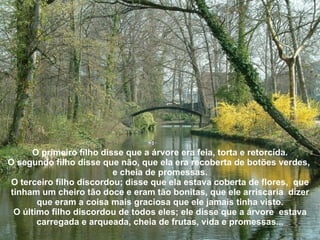 O primeiro filho disse que a árvore era feia, torta e retorcida. O segundo filho disse que não, que ela era recoberta de botões verdes,  e cheia de promessas. O terceiro filho discordou; disse que ela estava coberta de flores,  que tinham um cheiro tão doce e eram tão bonitas, que ele arriscaria  dizer que eram a coisa mais graciosa que ele jamais tinha visto. O último filho discordou de todos eles; ele disse que a árvore  estava carregada e arqueada, cheia de frutas, vida e promessas... 