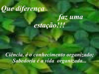 Que diferença  faz uma estação!!! Ciência, é o conhecimento organizado; Sabedoria é a vida  organizada... 