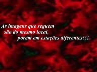 As imagens que seguem  são do mesmo local,  porém em estações diferentes!!! 