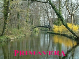 PRIMAVERA 