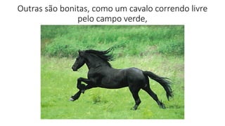 Outras são bonitas, como um cavalo correndo livre
pelo campo verde,
 