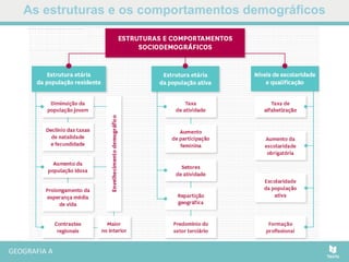 As estruturas e os comportamentos demográficos
 