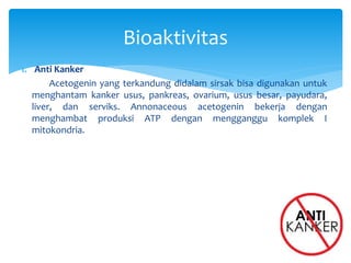 1. Anti Kanker
Acetogenin yang terkandung didalam sirsak bisa digunakan untuk
menghantam kanker usus, pankreas, ovarium, usus besar, payudara,
liver, dan serviks. Annonaceous acetogenin bekerja dengan
menghambat produksi ATP dengan mengganggu komplek I
mitokondria.
Bioaktivitas
 