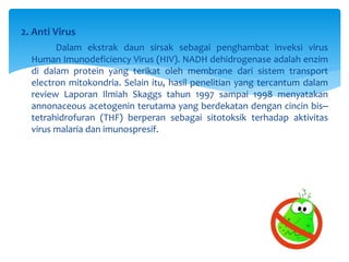 2. Anti Virus
Dalam ekstrak daun sirsak sebagai penghambat inveksi virus
Human Imunodeficiency Virus (HIV). NADH dehidrogenase adalah enzim
di dalam protein yang terikat oleh membrane dari sistem transport
electron mitokondria. Selain itu, hasil penelitian yang tercantum dalam
review Laporan Ilmiah Skaggs tahun 1997 sampai 1998 menyatakan
annonaceous acetogenin terutama yang berdekatan dengan cincin bis‒
tetrahidrofuran (THF) berperan sebagai sitotoksik terhadap aktivitas
virus malaria dan imunospresif.
 