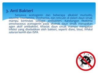 3. Anti Bakteri
Senyawa acetogenin dan beberapa alkaloid murisolin,
cauxine, couclamine, stepharine, dan reticulin di dalam daun sirsak
mampu bertindak sebagai antibakteri. Kandungan fitokimia
annonaceous acetogenin pada ekstrak daun sirsak merupakan
agen aktif antibakteri. Khasiat daun sirsak mampu mengatasi
infeksi yang disebabkan oleh bakteri, seperti diare, bisul, infeksi
saluran kemih dan ISPA
 