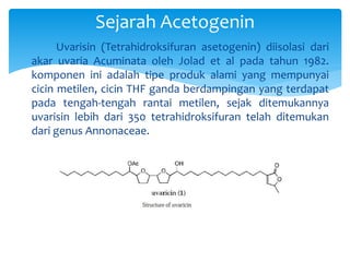 Uvarisin (Tetrahidroksifuran asetogenin) diisolasi dari
akar uvaria Acuminata oleh Jolad et al pada tahun 1982.
komponen ini adalah tipe produk alami yang mempunyai
cicin metilen, cicin THF ganda berdampingan yang terdapat
pada tengah-tengah rantai metilen, sejak ditemukannya
uvarisin lebih dari 350 tetrahidroksifuran telah ditemukan
dari genus Annonaceae.
Sejarah Acetogenin
 