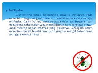 4. Anti Feeden
kulit bawang merah mengandung senyawa acetogenin. Pada
konsentrasi tinggi, senyawa tersebut memiliki keistimewaan sebagai
anti-feeden. Dalam hal ini, hama serangga tidak lagi bergairah dan
menurunnya nafsu makan yang mengakibatkan hama serangga enggan
untuk melahap bagian tanaman yang disukainya. Sedangkan dalam
konsentrasi rendah, bersifat racun perut yang bisa mengakibatkan hama
serangga menemui ajalnya.
 