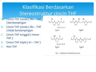 A. Cincin THF Ganda ( Bis – THF
) berdampingan
B. Cincin THF Ganda ( Bis – THF
) tidak berdampingan
C. Cincin THF tunggal ( mono -
THF )
D. Cincin THF triple ( tri – THF )
E. Non THF
Klasifikasi Berdasarkan
Stereostruktur cincin THF
 