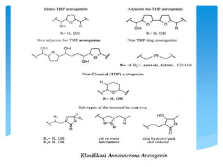 Acetogenin